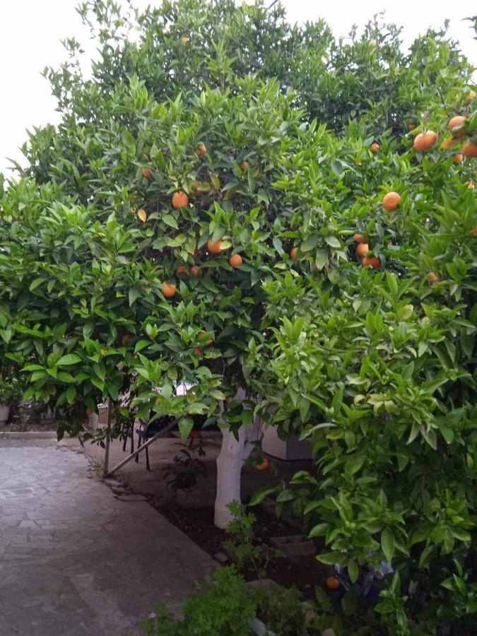נאפפליו Margaritas Cottage מראה חיצוני תמונה